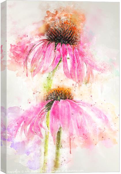 Echinacea Splash Canvas Print by Ann Garrett