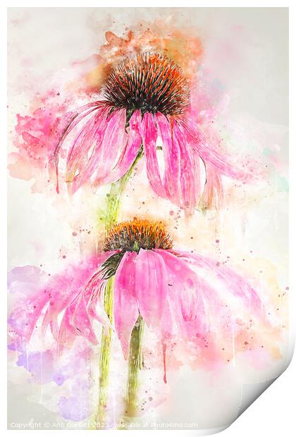 Echinacea Splash Print by Ann Garrett
