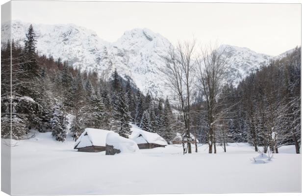 Snow Picturesque Scene in Winter Canvas Print by Olga Peddi