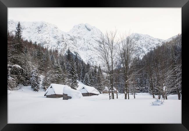 Snow Picturesque Scene in Winter Framed Print by Olga Peddi
