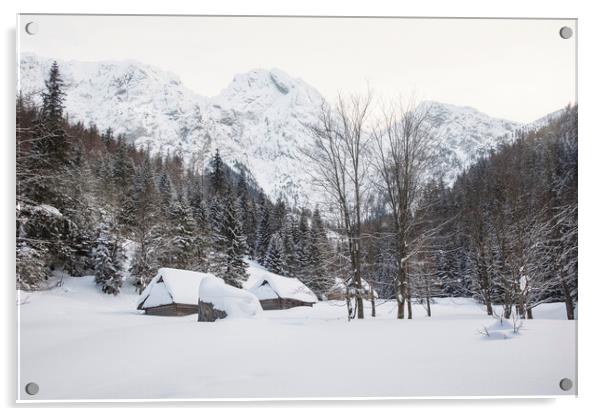 Snow Picturesque Scene in Winter Acrylic by Olga Peddi