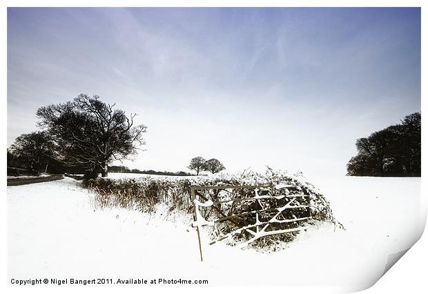 Winter Field Print by Nigel Bangert