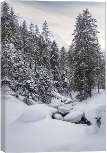 Snow Picturesque Scene in Winter Canvas Print by Olga Peddi