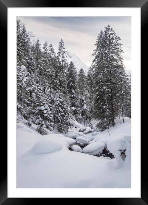 Snow Picturesque Scene in Winter Framed Mounted Print by Olga Peddi