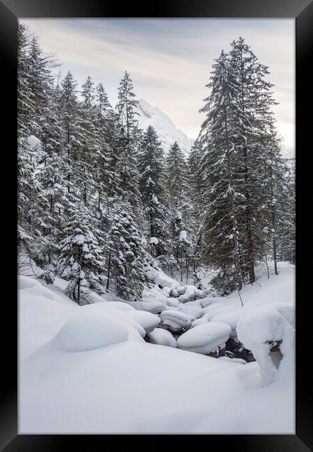 Snow Picturesque Scene in Winter Framed Print by Olga Peddi
