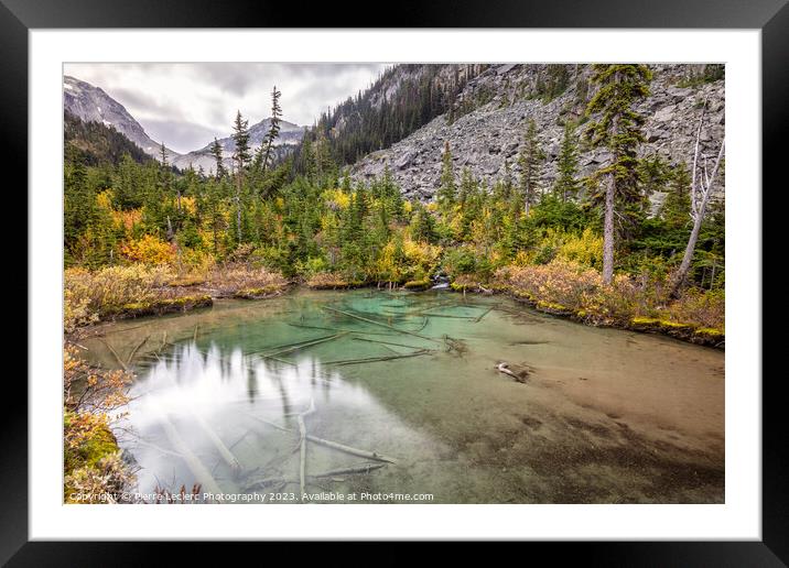 Shoreline Fall Colors Framed Mounted Print by Pierre Leclerc Photography