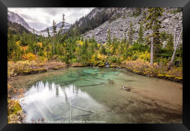 Shoreline Fall Colors Framed Print by Pierre Leclerc Photography