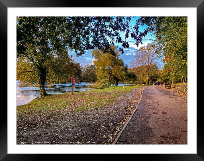 Roath Park Cardiff Framed Mounted Print by Jane Metters