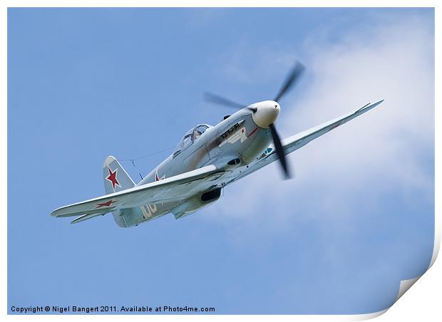 Russian Yak 9 Print by Nigel Bangert