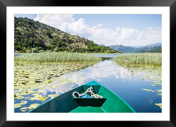 Water lillies on River Crnojevica Framed Mounted Print by Jason Wells