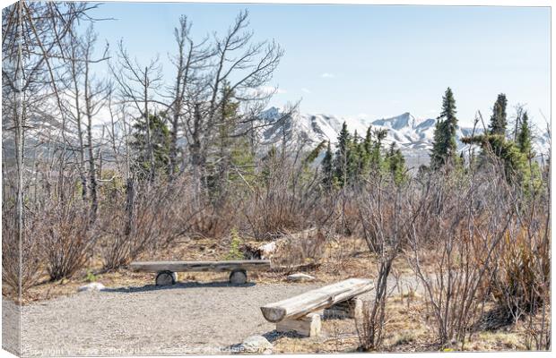 Seats in a rest area of the Savage River Trail in Denali National Park, Alaska, USA Canvas Print by Dave Collins