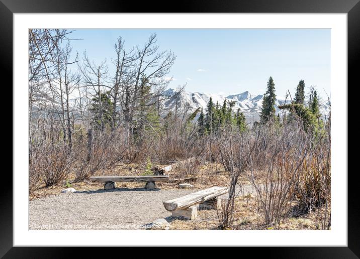 Seats in a rest area of the Savage River Trail in Denali National Park, Alaska, USA Framed Mounted Print by Dave Collins