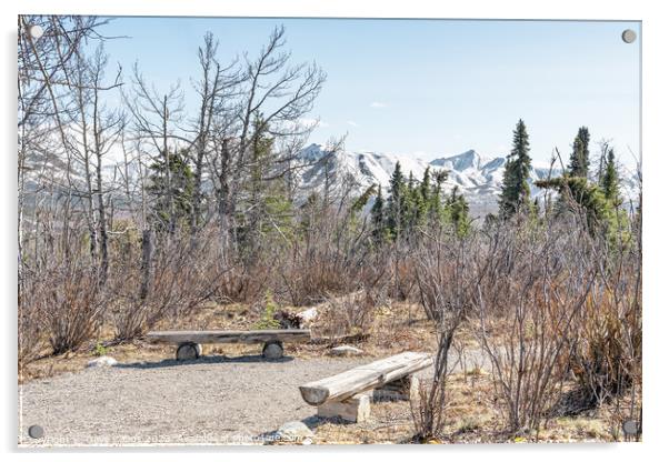 Seats in a rest area of the Savage River Trail in Denali National Park, Alaska, USA Acrylic by Dave Collins