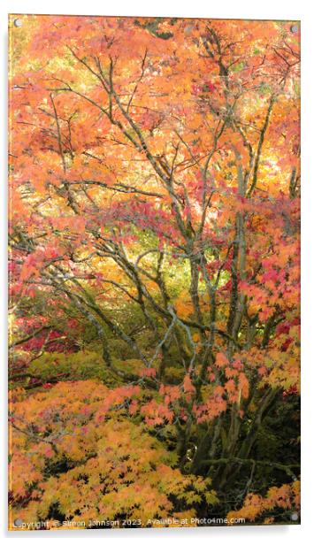Acer tree and leaves Autumn  Acrylic by Simon Johnson