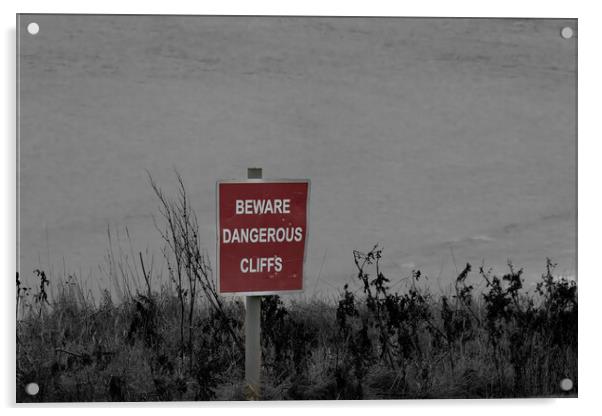 Dangerous Cliffs Acrylic by Glen Allen