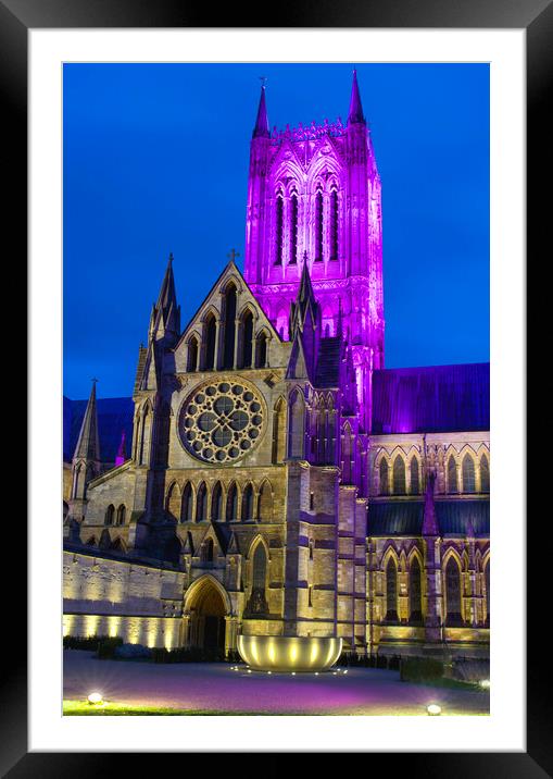 Lincoln Cathedral From Deans Green Framed Mounted Print by Alison Chambers