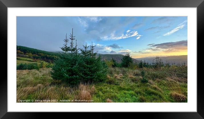 autumnal sunrise over spruce trees and mountains  Framed Mounted Print by Jonny Angle