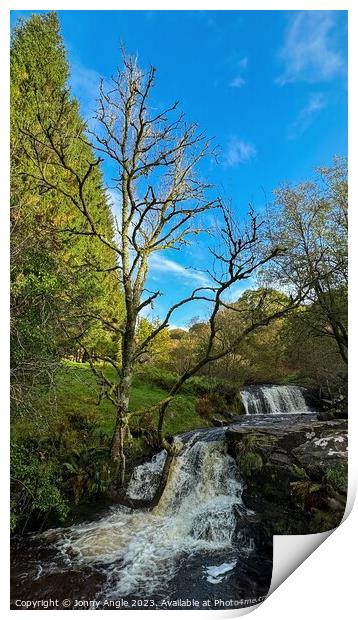 winter tree and waterfall  Print by Jonny Angle