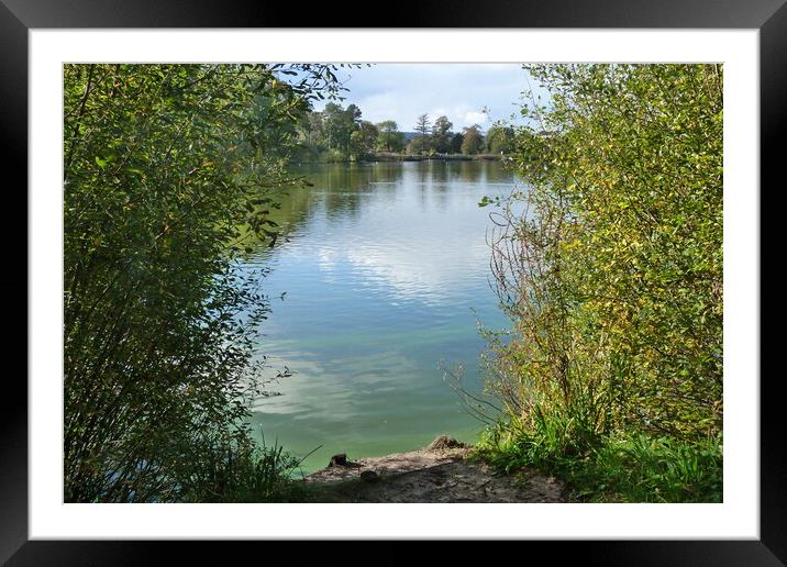 The beauty of Petersfield pond on an October day Framed Mounted Print by Peter Hodgson
