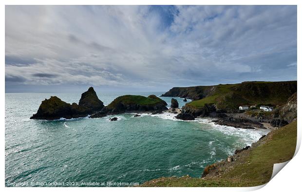 Kynance Cove Print by Iain Lockhart