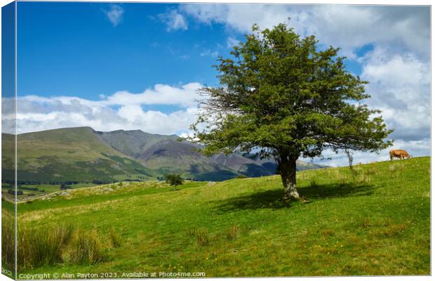 Blencathra from near Tewet Tarn Canvas Print by Alan Payton