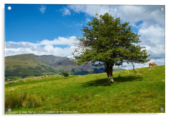 Blencathra from near Tewet Tarn Acrylic by Alan Payton