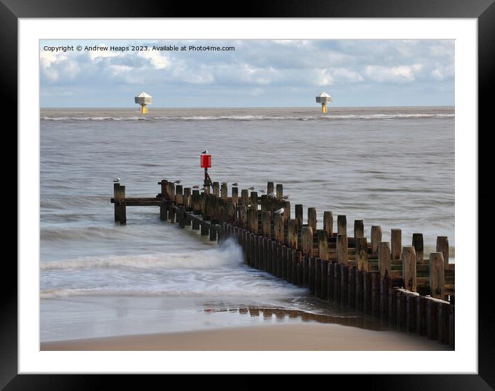 Lowestoft beach view to show offshore nest places. Framed Mounted Print by Andrew Heaps