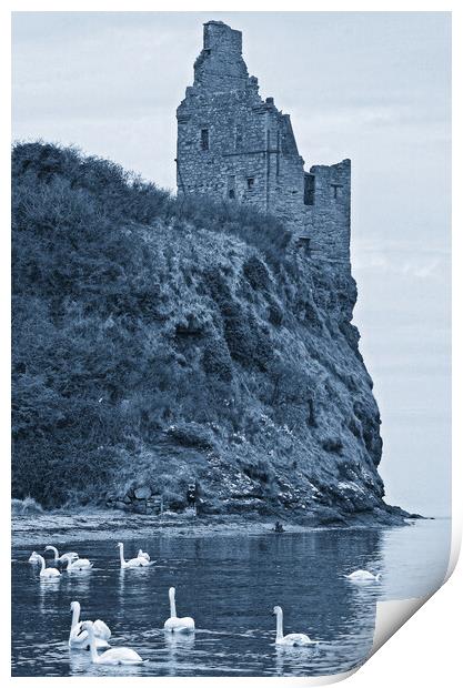 Swans feeding below Greenan Castle, Ayr Print by Allan Durward Photography