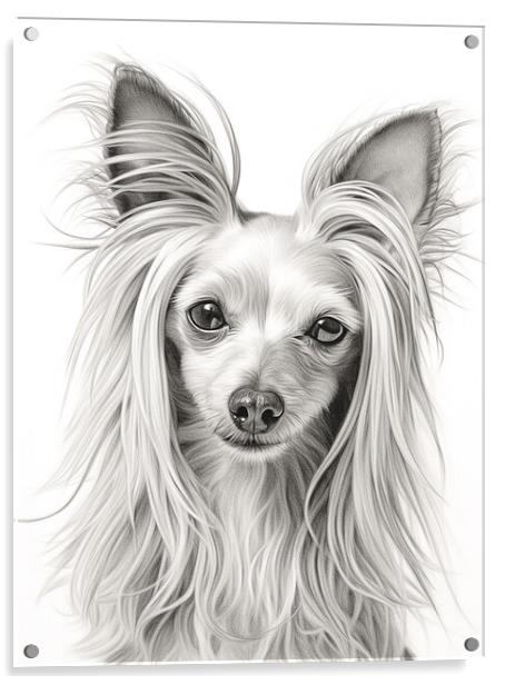 Chinese Crested Pencil Drawing Acrylic by K9 Art