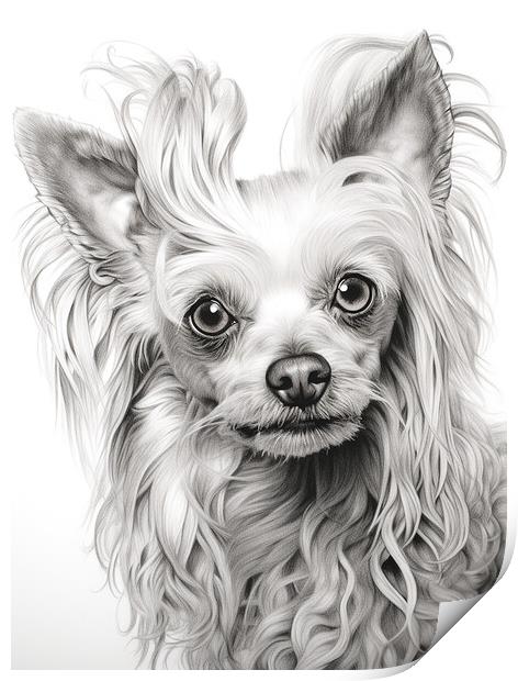 Chinese Crested Pencil Drawing Print by K9 Art