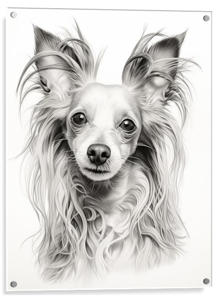 Chinese Crested Pencil Drawing Acrylic by K9 Art