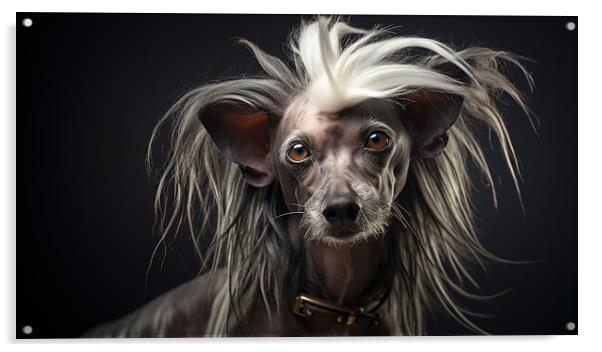 Chinese Crested Acrylic by K9 Art