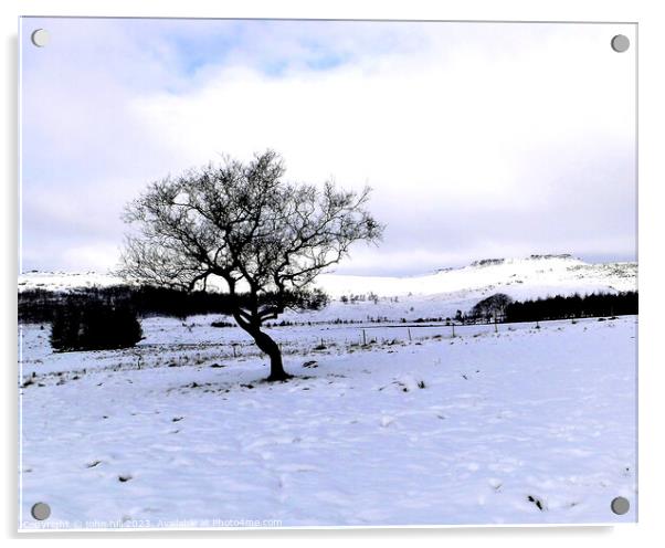 Winter, Longshaw Estate, Derbyshire. Acrylic by john hill