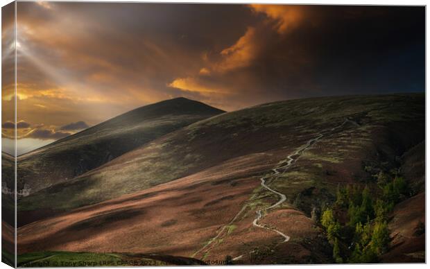 SKIDDAW VIA THE 'TOURIST ROUTE' Canvas Print by Tony Sharp LRPS CPAGB