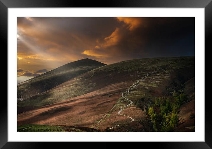 SKIDDAW VIA THE 'TOURIST ROUTE' Framed Mounted Print by Tony Sharp LRPS CPAGB