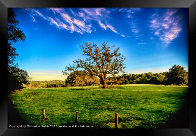 Outdoor field Framed Print by Michael W Salter