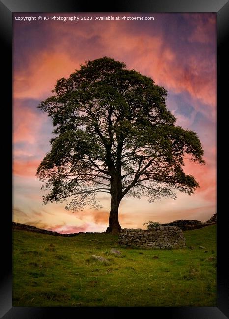 Sycamore Gap Tree  Framed Print by K7 Photography