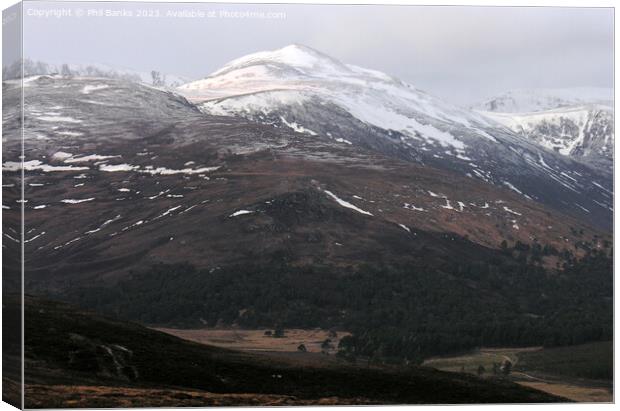 Derry Cairngorm Canvas Print by Phil Banks