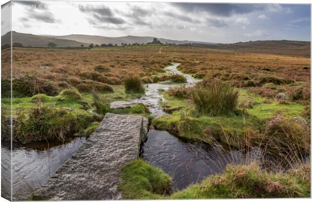 Small stream flowing towards Vixen Tor in Dartmoor Canvas Print by Kevin White