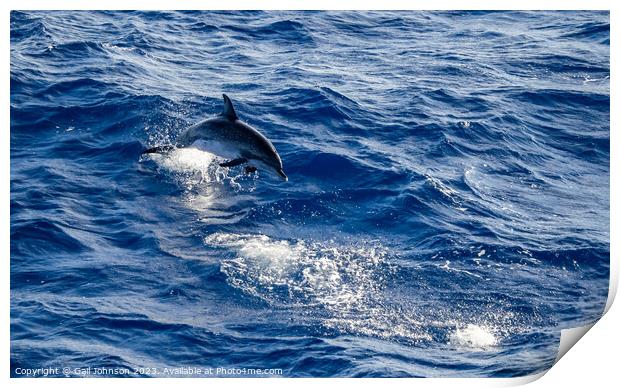Spotted Dolphins leaping out of the ocean in front of the ship Print by Gail Johnson