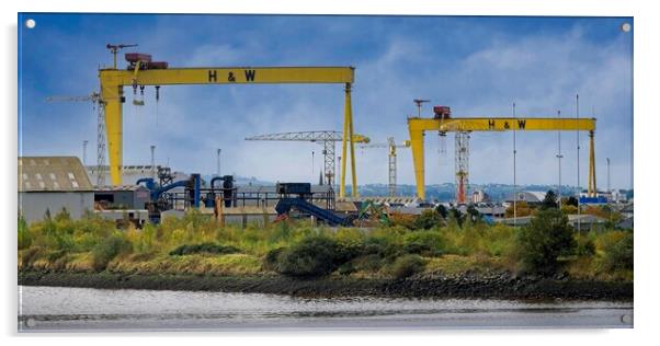 Samson and Goliath Cranes - Belfast Acrylic by Martyn Arnold