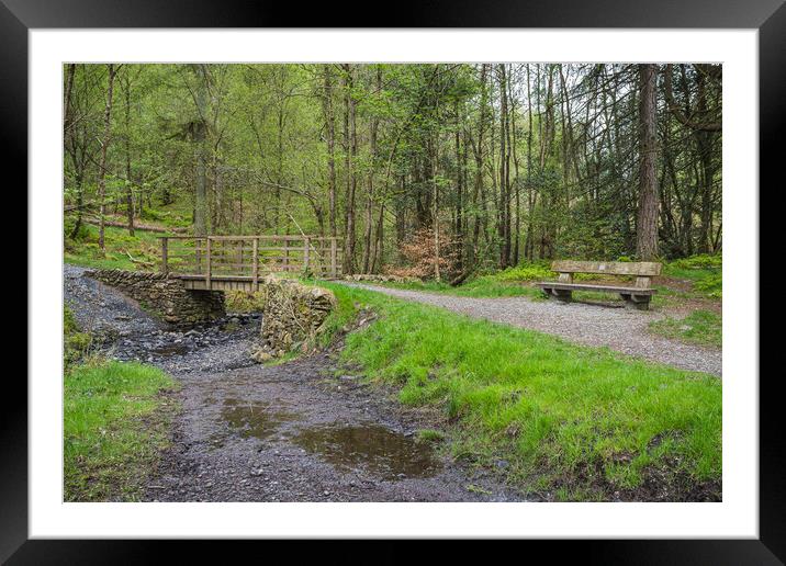 Bench beside a stream in the Lake District Framed Mounted Print by Jason Wells