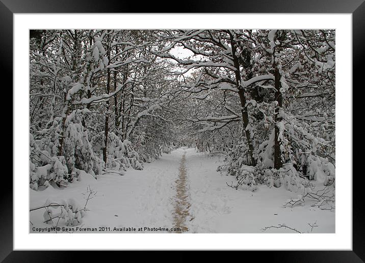 Snowy Walk in the Woods Framed Mounted Print by Sean Foreman