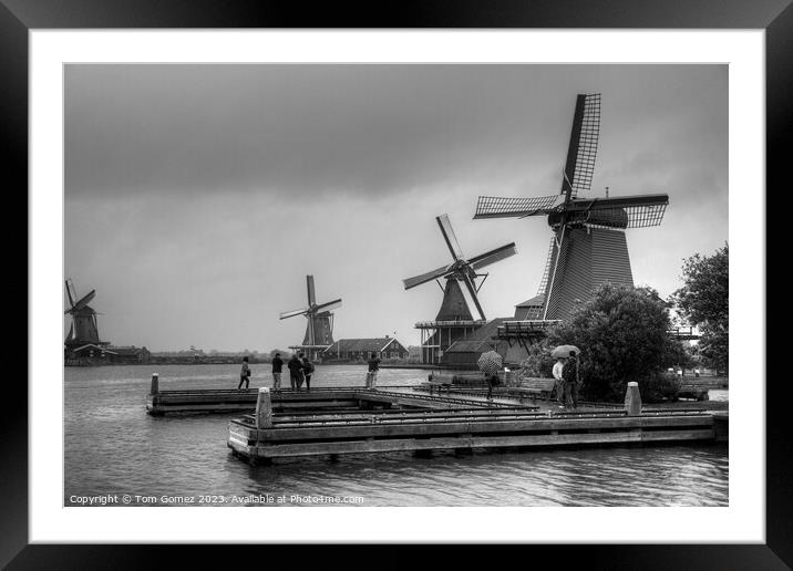 Windmills on the River Zaan B&W Framed Mounted Print by Tom Gomez