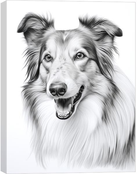 Collie Pencil Drawing Canvas Print by K9 Art