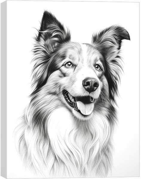 Collie Pencil Drawing Canvas Print by K9 Art