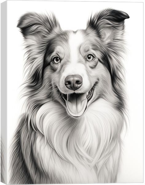 Collie Pencil Drawing Canvas Print by K9 Art