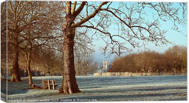 Streatham Common on a frosty morning Canvas Print by Stephen Noulton
