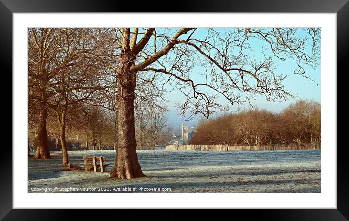 Streatham Common on a frosty morning Framed Mounted Print by Stephen Noulton