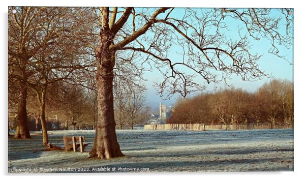 Streatham Common on a frosty morning Acrylic by Stephen Noulton